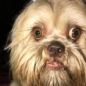 Meet your Posher, Cheryl